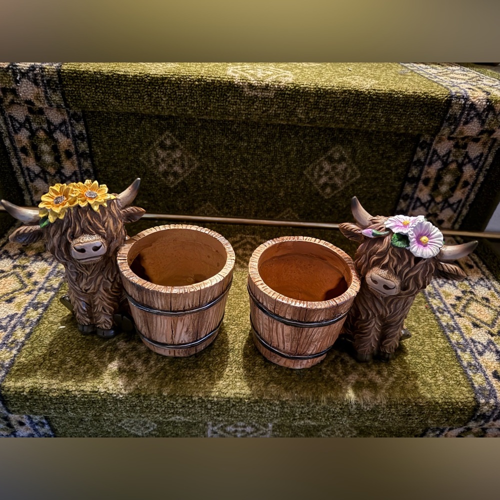 Hobby Lobby Highland Cow Planter Set with Floral Accents
New!